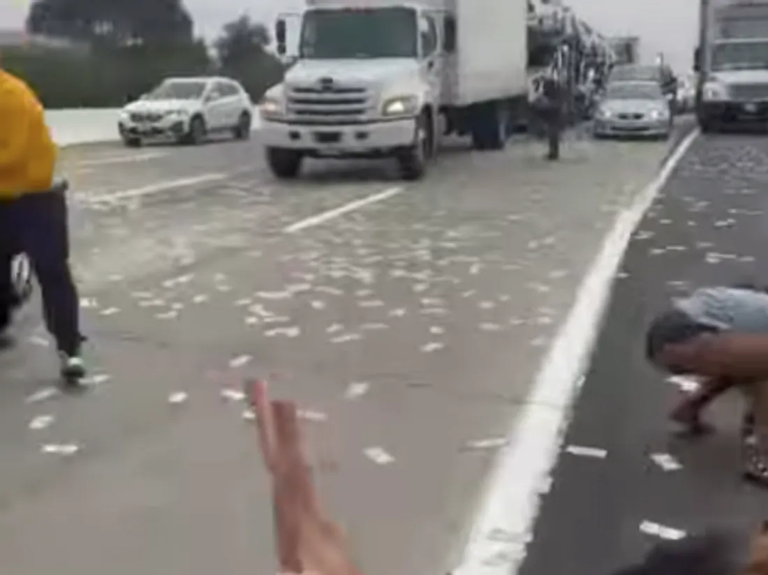 Une pluie de billets sur l'autoroute